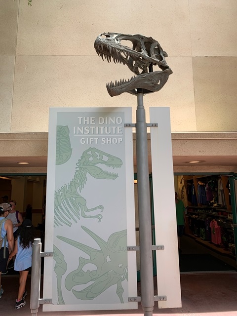 the dino institute